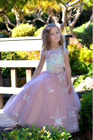 Blush Flower Girl Dress with Butterfly applique